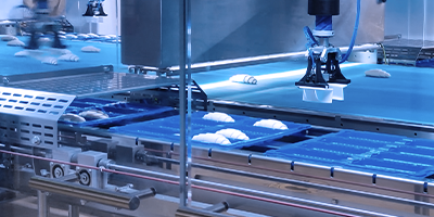 Lebensmittelindustrie