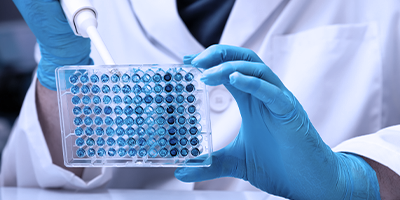 Pharma und Lifesciences